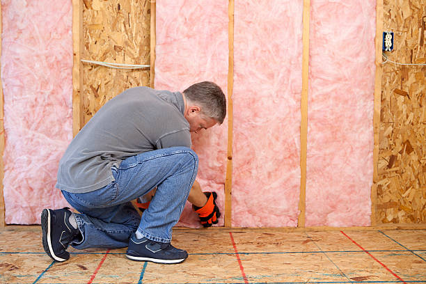 Best Eco-Friendly Insulation in Madeira Beach, FL